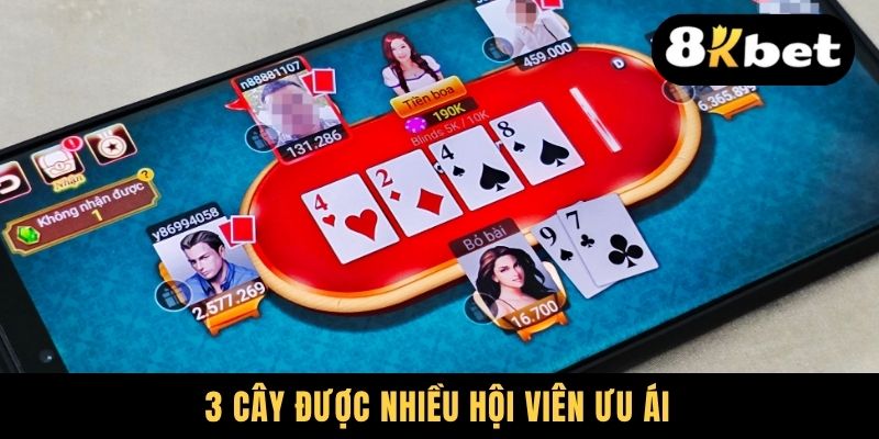 3 Cây được nhiều hội viên ưu ái