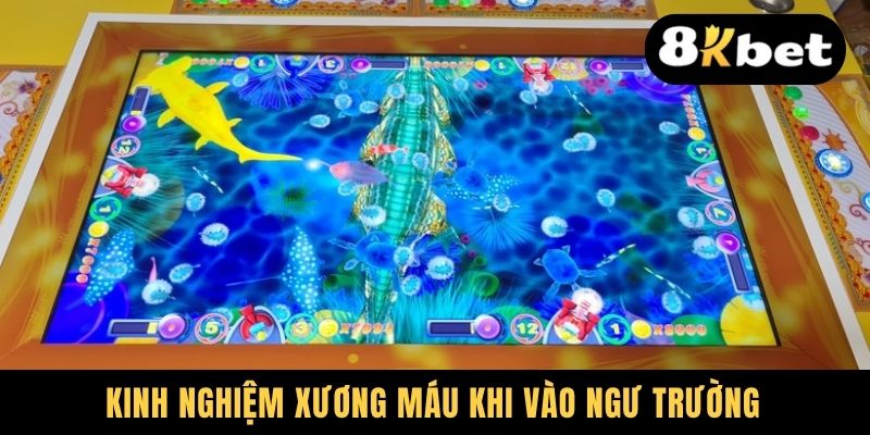 Kinh nghiệm xương máu khi vào ngư trường