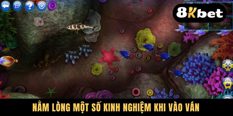 Nằm lòng một số kinh nghiệm khi vào ván