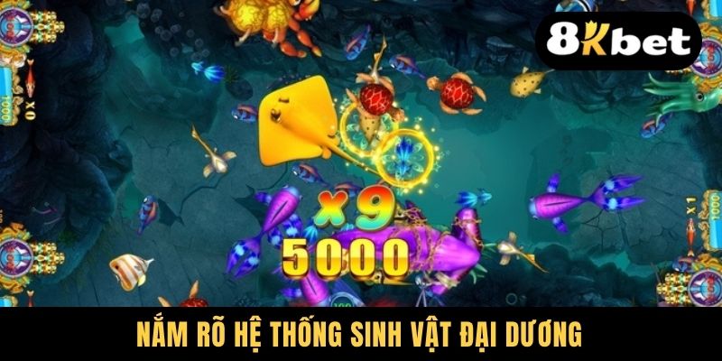 Nắm rõ hệ thống sinh vật đại dương