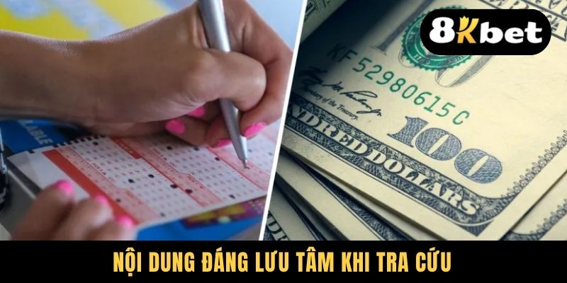 Nội dung đáng lưu tâm khi tra cứu