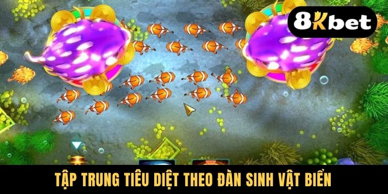 Tập trung tiêu diệt theo đàn sinh vật biển